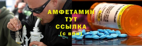 молекула духа Белокуриха