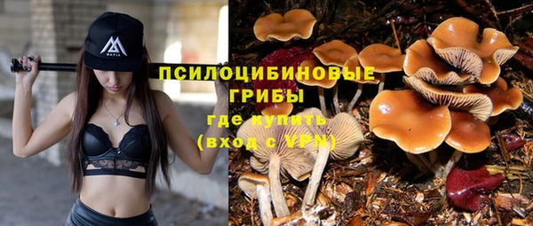 молекула духа Белокуриха