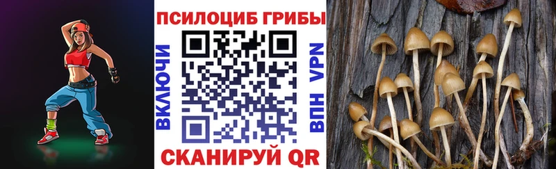 Псилоцибиновые грибы мицелий  Окуловка 