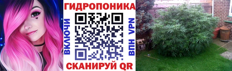 МАРИХУАНА ГИДРОПОН  Окуловка 